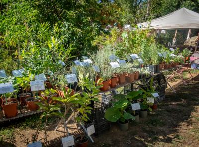Fete Potagers 68