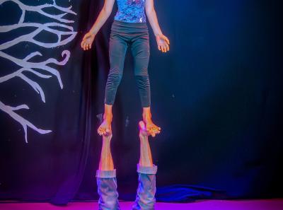 Fete Potagers Spectacle Enfants 97
